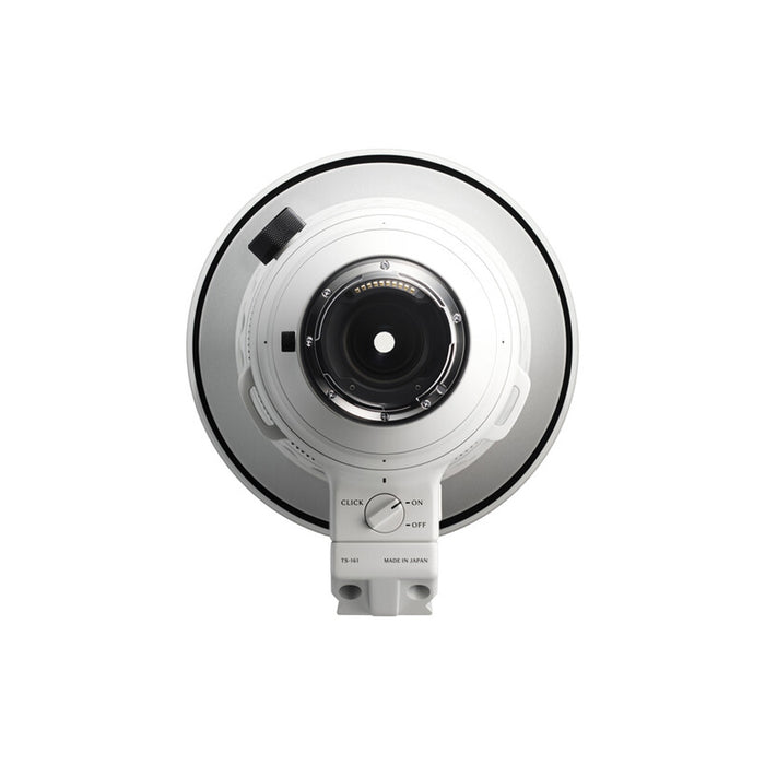 Sigma 300-600mm f/4 DG OS Sport (L-Mount) retro