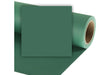 Colorama fondale 2,72x11m (Spruce Green)