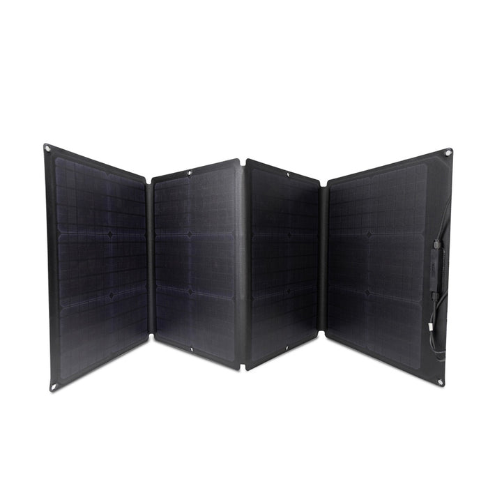 EcoFlow pannello solare 110w