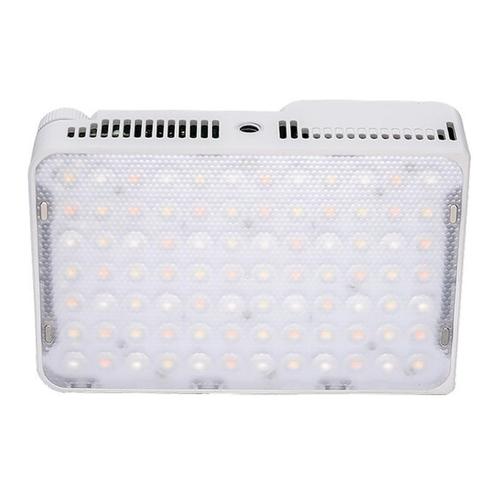 amaran Ace 25c Kit White