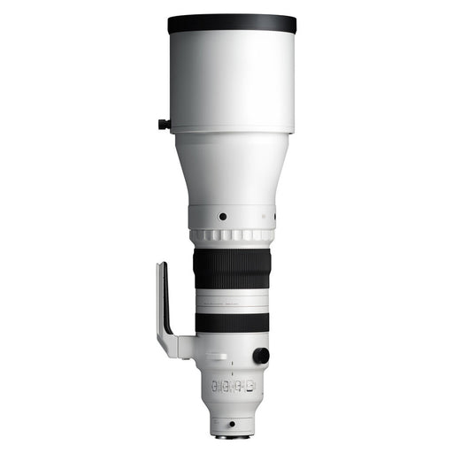 Sigma 300-600mm F4 DG OS SPORT (Per Sony E)