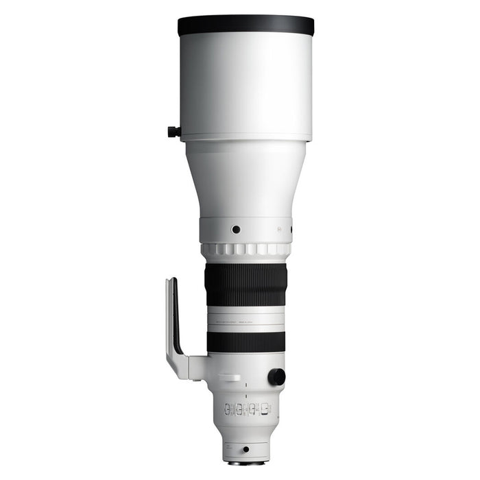 Sigma 300-600mm F4 DG OS SPORT (Per Sony E)