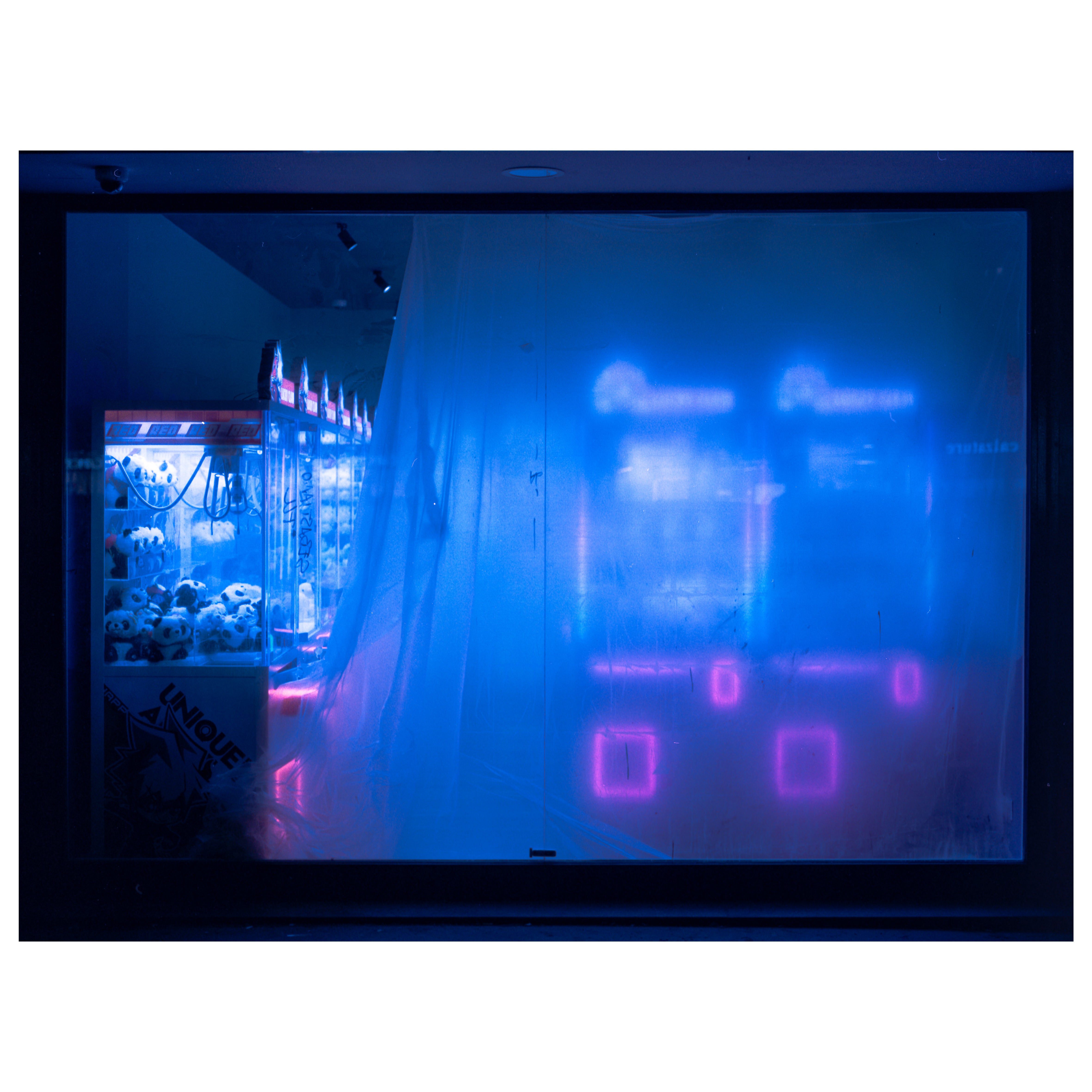 Foto vincitrice Marzo 2026 di Davide Orfeo