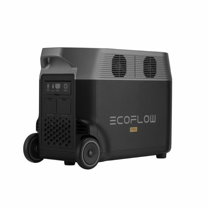 EcoFlow Delta Pro Power Station portatile