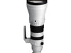 Sigma 300-600mm f/4 DG OS Sport (L-Mount) alto