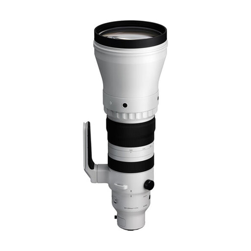 Sigma 300-600mm F4 DG OS SPORT (Per Sony E) alto