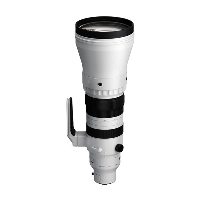 Sigma 300-600mm F4 DG OS SPORT (Per Sony E) alto