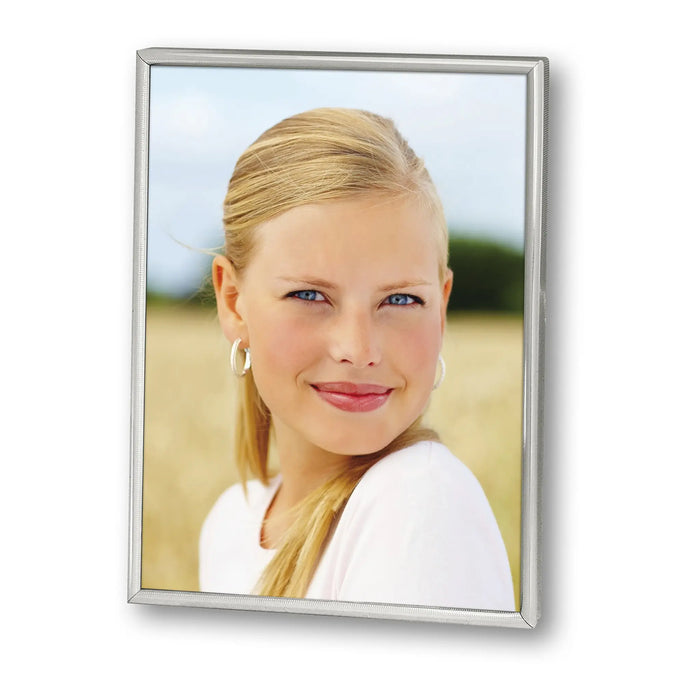 Zep Cornice Silver 9x13 Art 3R