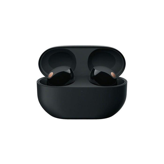 Sony WF-1000XM5 - Garanzia Sony Italia