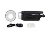 nanlite-fs-300c-kit