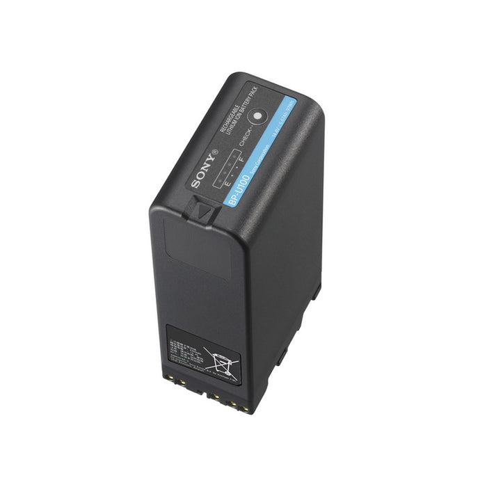 Sony batteria BP-U100