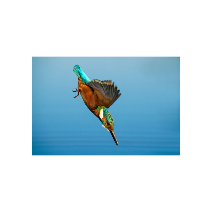 Sony FE 70-200mm F2.8 GM OSS II (SEL70200GM2) - Garanzia Sony Italia