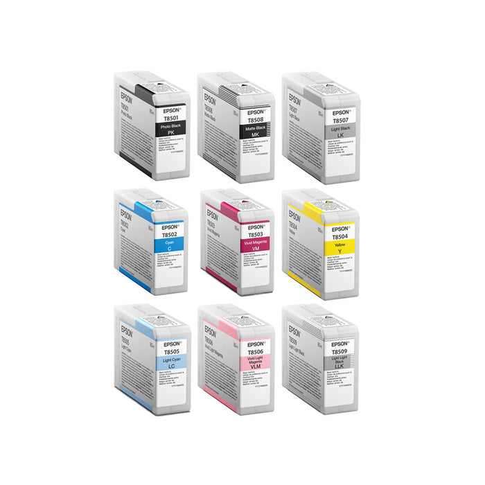 Epson cartuccia per P800