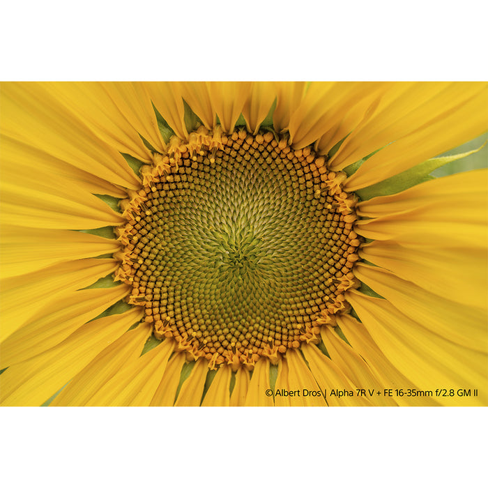 sony-fe-16-35-mm-gm-ii-zoom