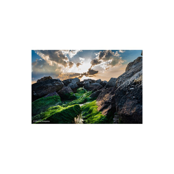 Sony FE 24-70 mm F2.8 GM II (SEL2470GM2) - Garanzia Sony Italia