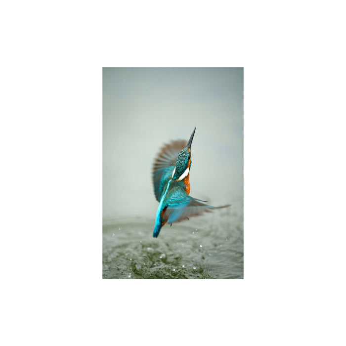 Sony FE 70-200mm F2.8 GM OSS II (SEL70200GM2) - Garanzia Sony Italia