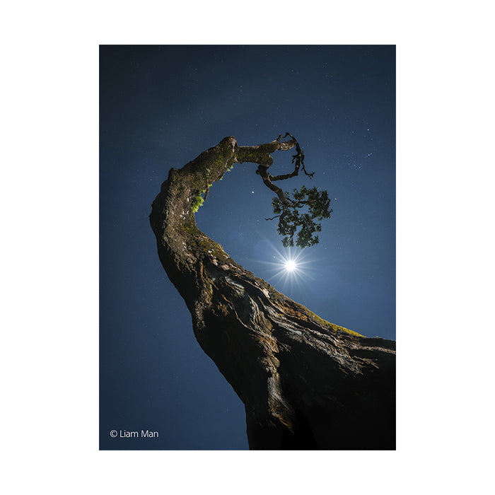 Sony FE 20-70mm F4 G (SEL2070G) - Garanzia Sony Italia