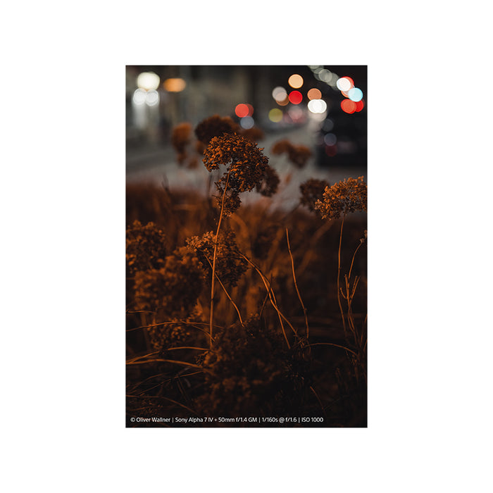 Sony FE 50 mm F1.4 GM (SEL50F14GM) - Garanzia Sony Italia