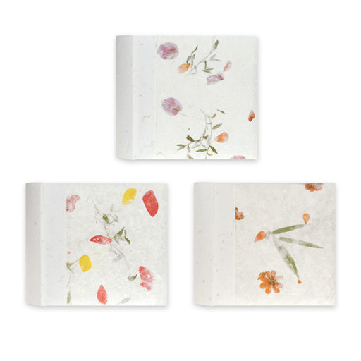 zep-thai-album-200-foto-fronte