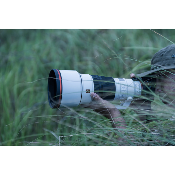 sony-fe-300-mm-gm-per-natura