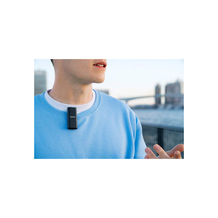 Sony ECM-W2BT - Garanzia Sony Italia